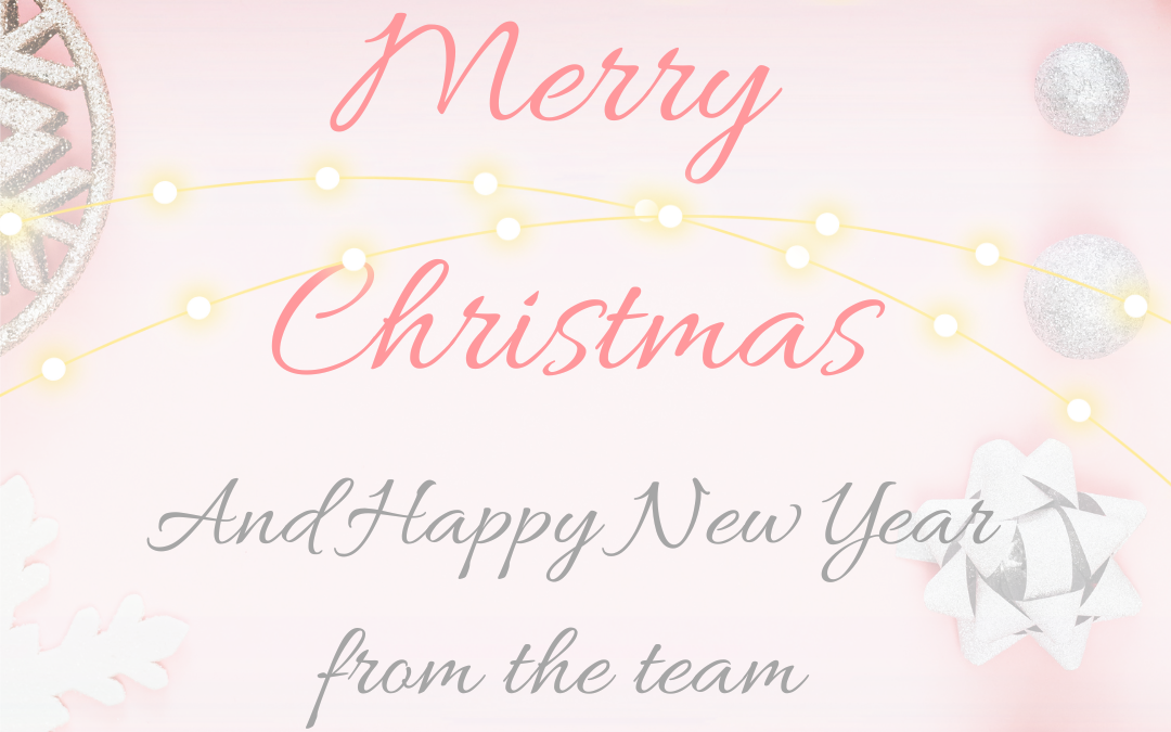 Merry Christmas and Happy New Year from the Elesse team