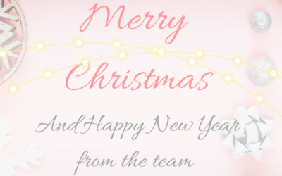 Merry Christmas and Happy New Year from the Elesse team
