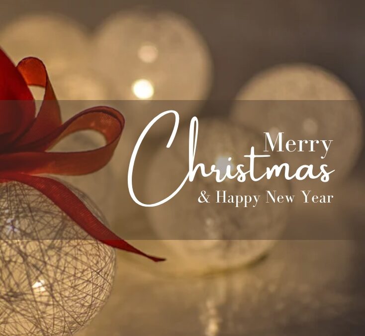 Merry Christmas from the Elesse Hair and Beauty team